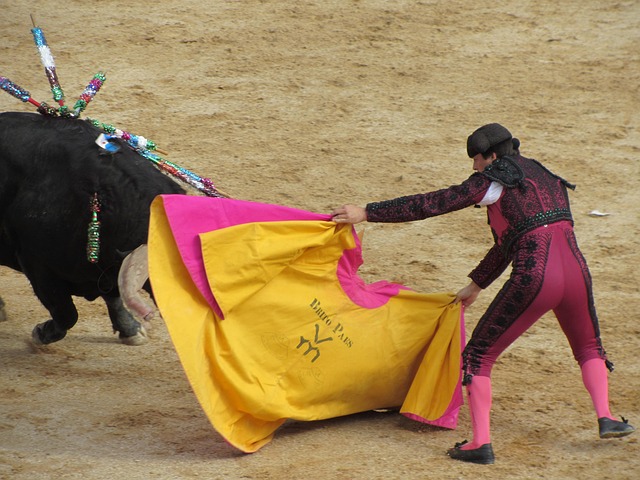 bullfighter
