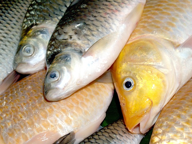 Hình minh họa eigenwijs