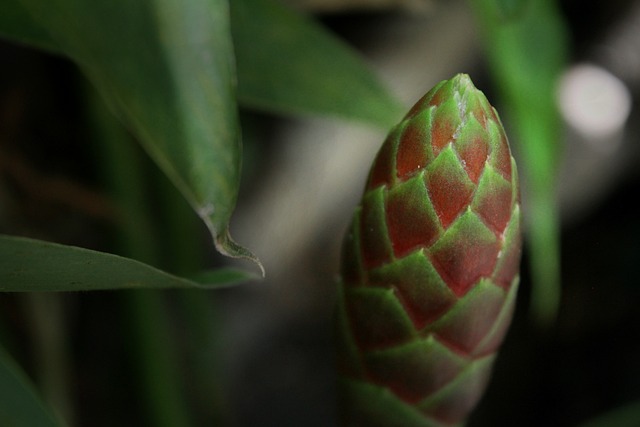 Hình ảnh minh họa ý nghĩa của từ bungle