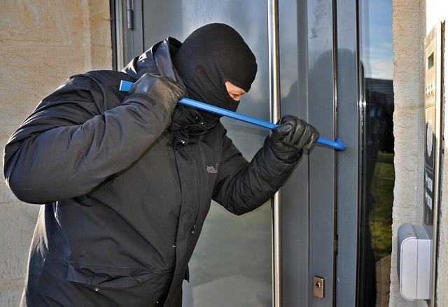 Hình ảnh minh họa ý nghĩa của từ burglarize