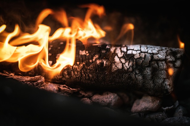 burn scar