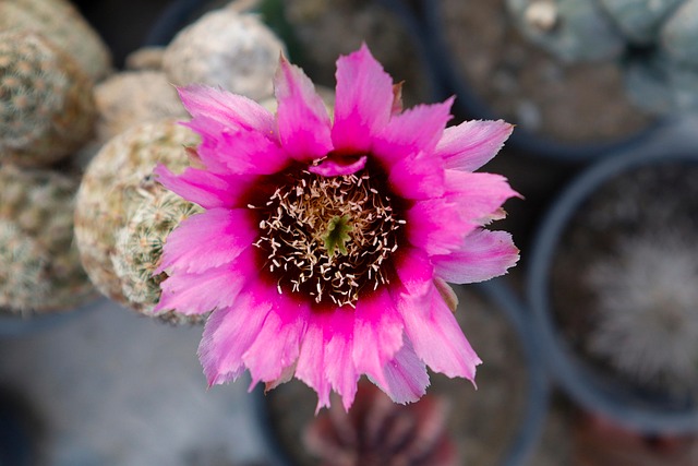 Hình ảnh minh họa ý nghĩa của từ bursary