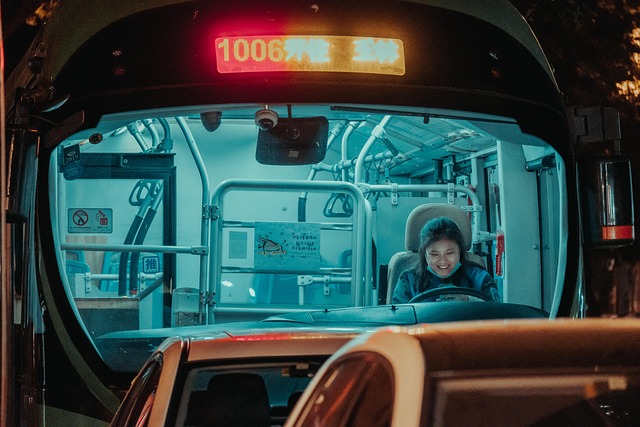 bus driver