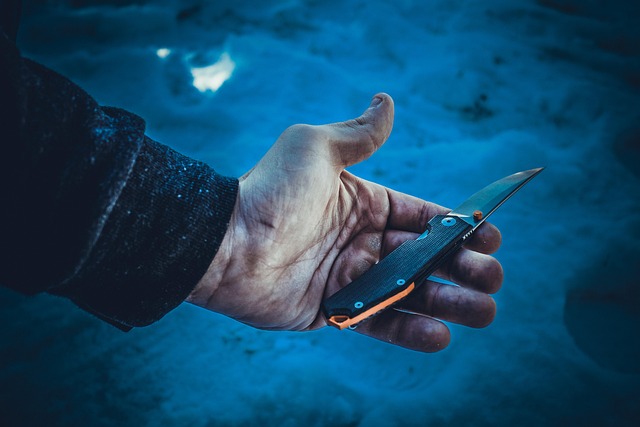 Hình ảnh minh họa ý nghĩa của từ bushcraft