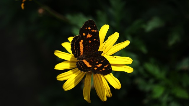 Hình ảnh minh họa ý nghĩa của từ business sector