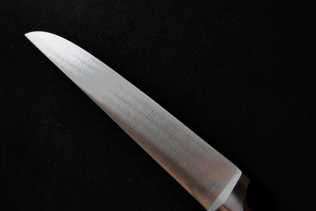 Hình ảnh minh họa ý nghĩa của từ butcher knife
