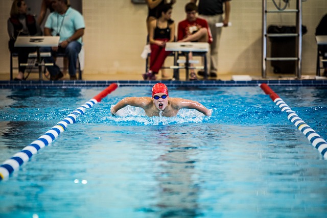 butterfly stroke