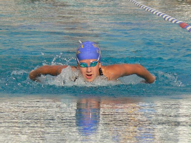 butterfly swimming