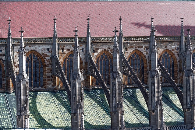 Hình ảnh minh họa ý nghĩa của từ buttressing