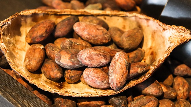 Hình ảnh minh họa ý nghĩa của từ cacao bean