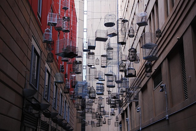 cage
