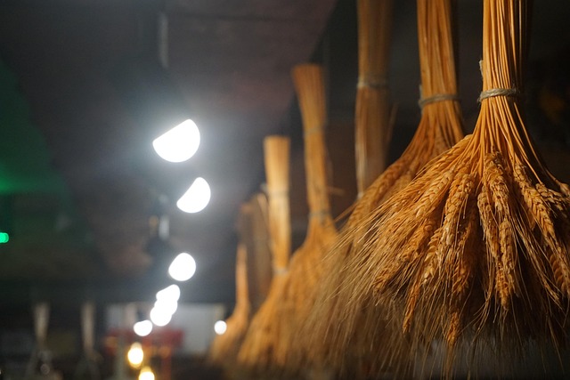 Hình ảnh minh họa ý nghĩa của từ call-out culture