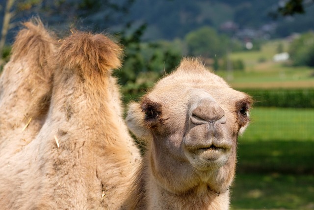 Hình ảnh minh họa ý nghĩa của từ callous