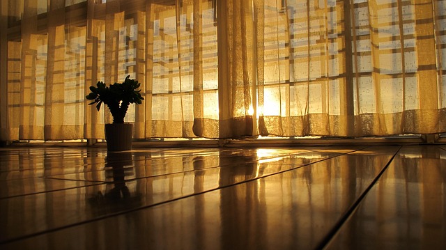 Hình ảnh minh họa ý nghĩa của từ calmly