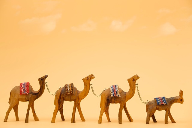 camel