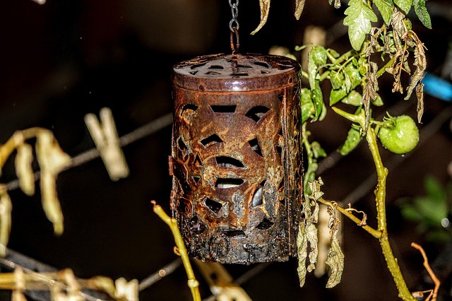 Hình ảnh minh họa ý nghĩa của từ candelabrum