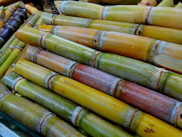 cane sugar
