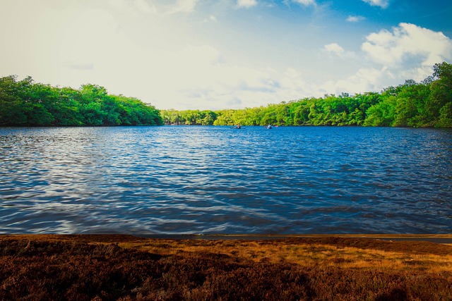 canoe
