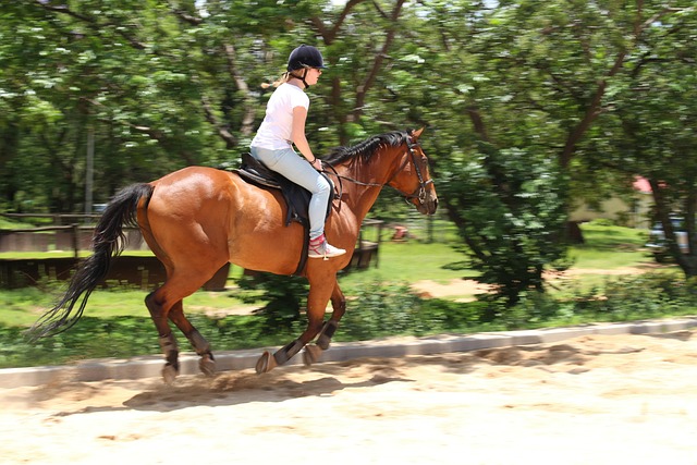 canter