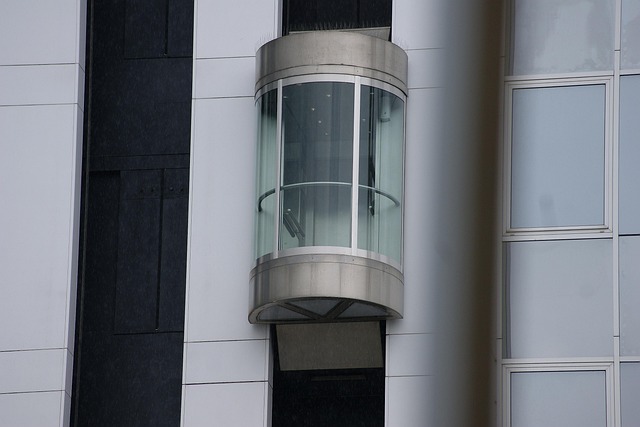 Hình ảnh minh họa ý nghĩa của từ capacity building