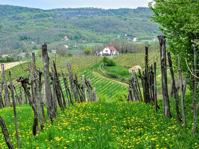 capital region