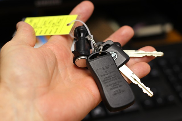 car ownership