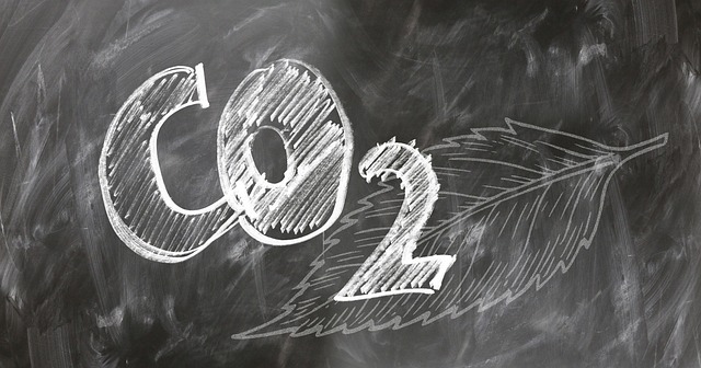 carbon-intensive