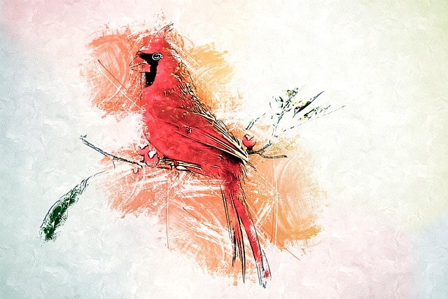 Hình ảnh minh họa ý nghĩa của từ cardinal