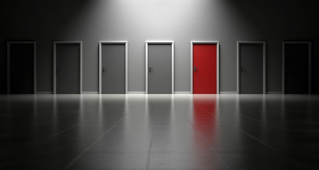 career decision