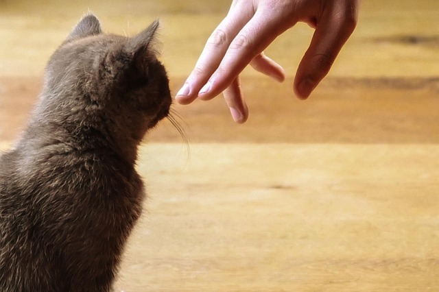 caring approach