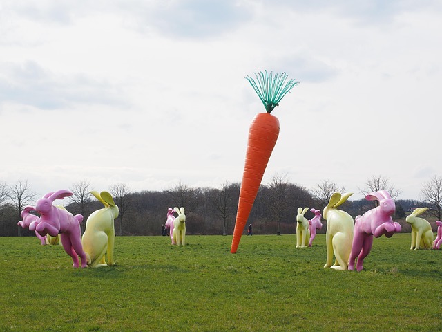 carrot