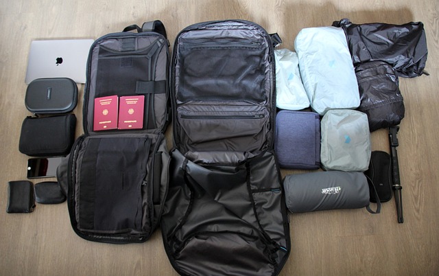 carry-on luggage