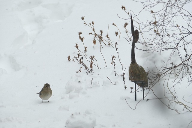 Hình ảnh minh họa ý nghĩa của từ carrying out