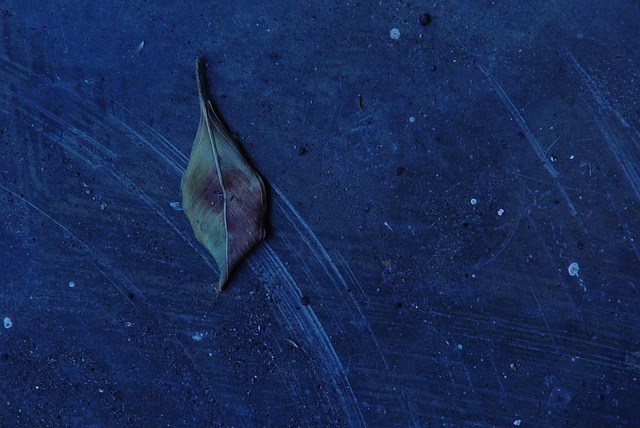 Hình ảnh minh họa ý nghĩa của từ casting off