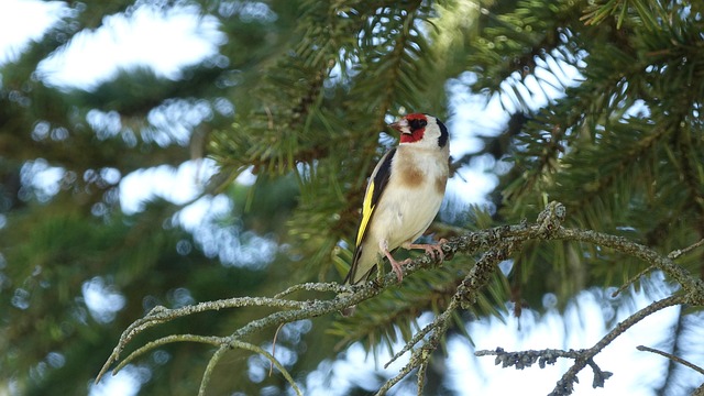Hình ảnh minh họa ý nghĩa của từ cathartic