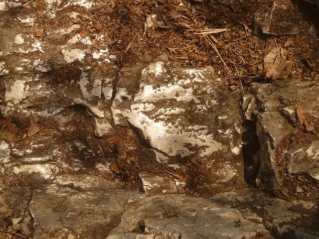 Hình ảnh minh họa ý nghĩa của từ ceding