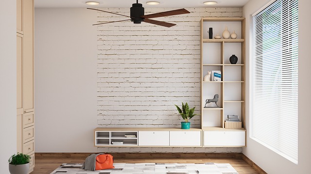 ceiling fan with light