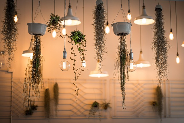 ceiling light