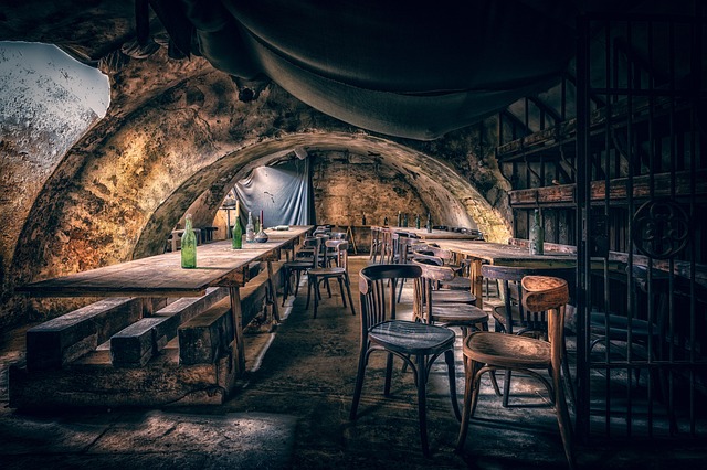 cellar level