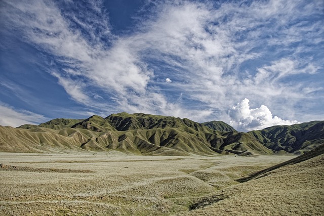 central asia