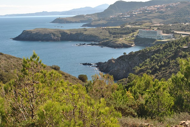 Hình ảnh minh họa ý nghĩa của từ cerberus