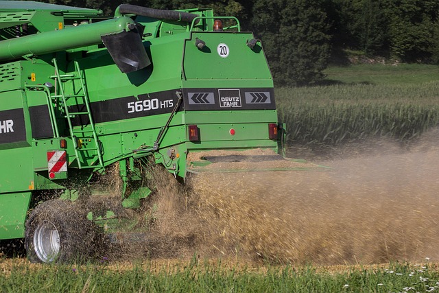 chaff