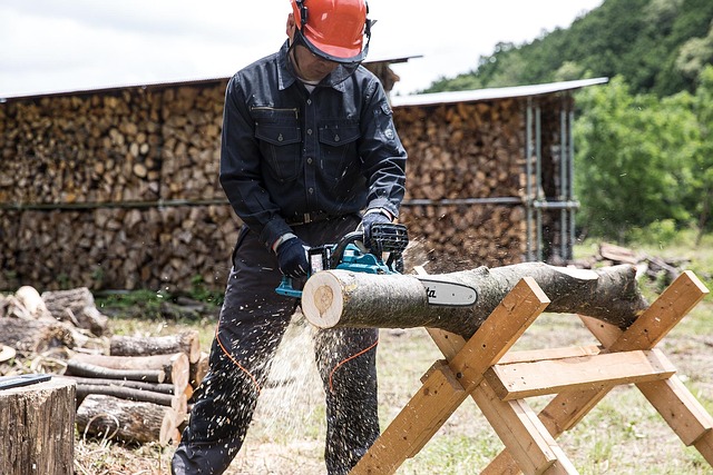 chainsaw