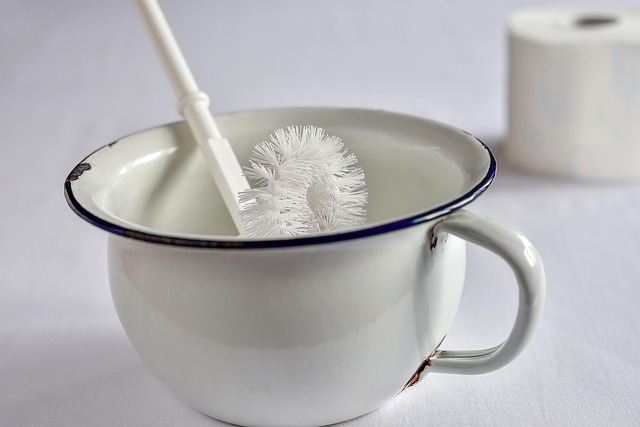 Hình ảnh minh họa ý nghĩa của từ chamber pot