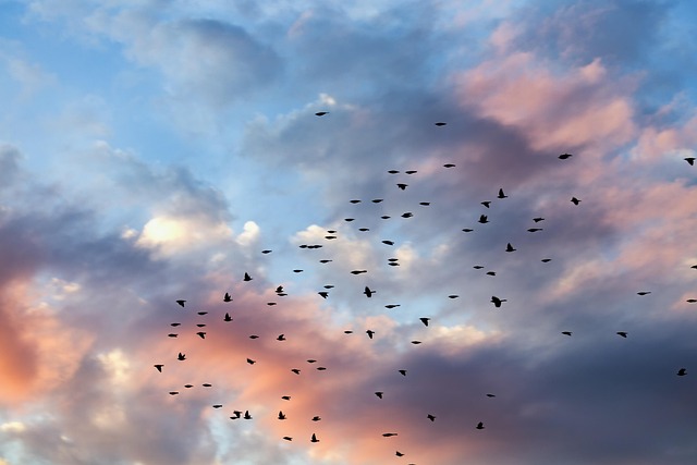 chaotic system