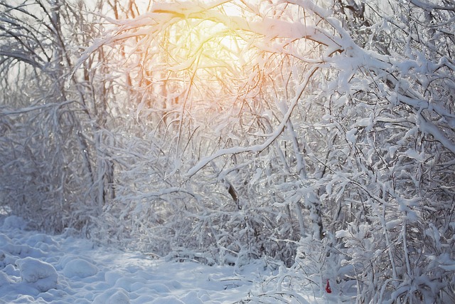 Hình ảnh minh họa ý nghĩa của từ chemical-laden