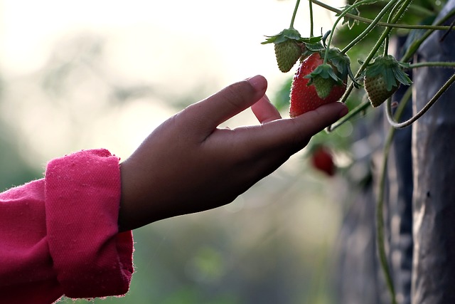 child growth