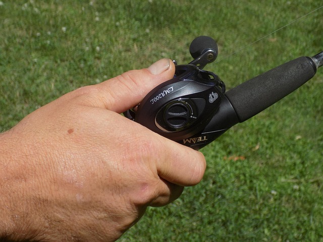 Hình ảnh minh họa ý nghĩa của từ child maturation