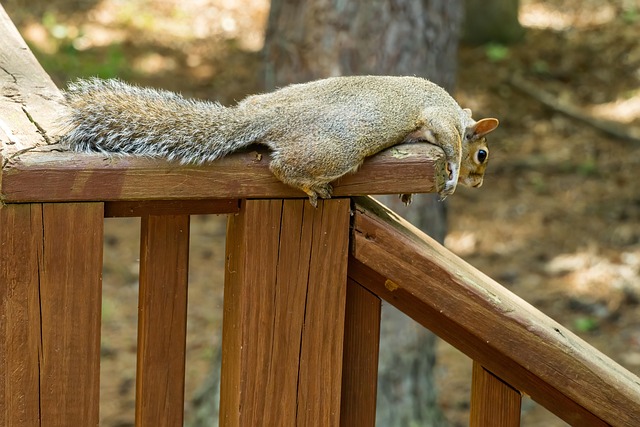 chilling out
