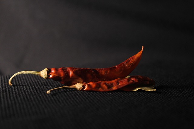 Hình ảnh minh họa ý nghĩa của từ chilly